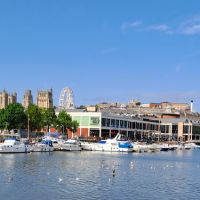A bristol harbour scene with boats and birds on water. Buildings line the waterfront