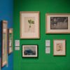 Photograph showing some of the pieces or art that will be on display as part of the Colour exhibition.