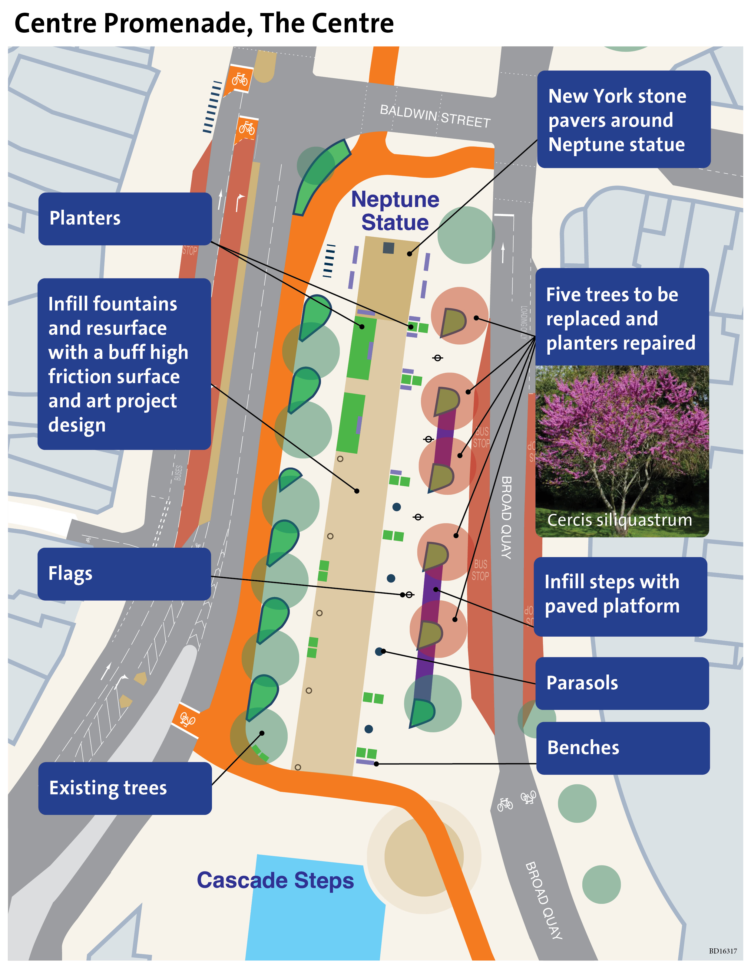 A plan showing the five trees that need to be removed in The Centre alongside Broad Quay. It also shows the area the new surfacing will go, which runs from the Neptune statue almost to the top of the Cascade Steps.