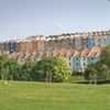 A green space and some colourful houses
